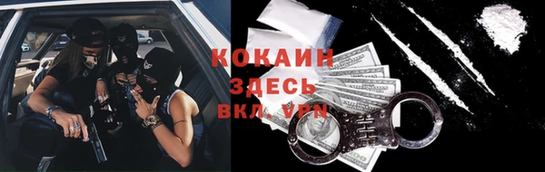 гашик Балахна