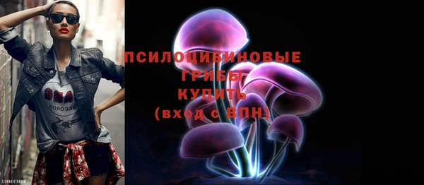 прущие грибы Армянск