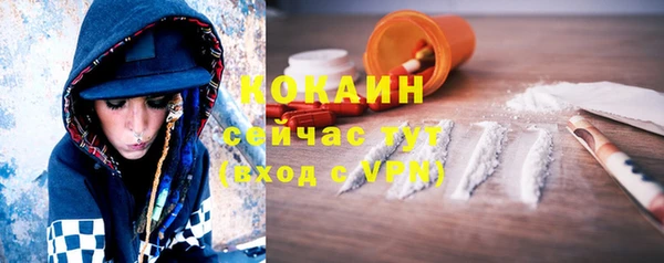 гашик Балахна