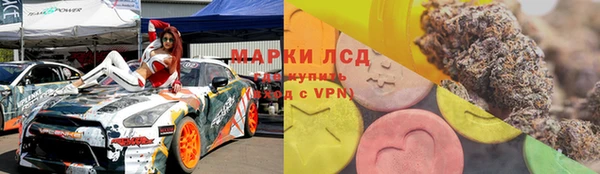 прущие грибы Армянск