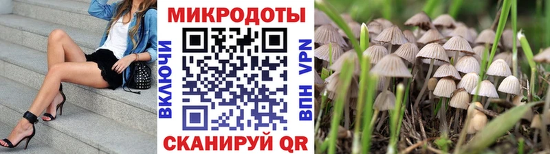 Псилоцибиновые грибы ЛСД  блэк спрут ссылка  Снежногорск 